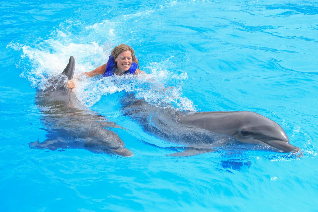 delfines